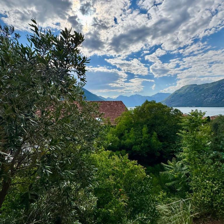 Apartment Hidden Gem of Kotor - Two-Bedroom Apartment - 17