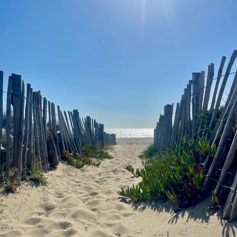 Résidence naturiste Éden plage - Apartamento de 1 dormitorio - 9