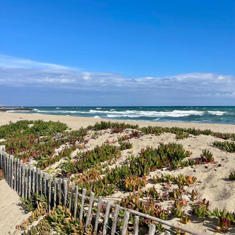 Résidence naturiste Éden plage - Apartamento de 1 dormitorio - 12