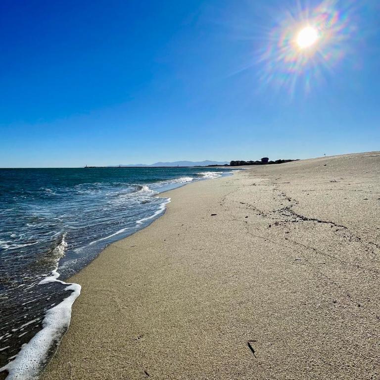 Résidence naturiste Éden plage - Apartamento de 1 dormitorio - 16