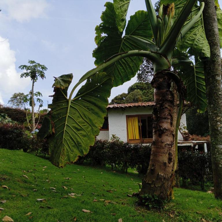 Alma de Acero - Casa de 2 dormitorios - 3