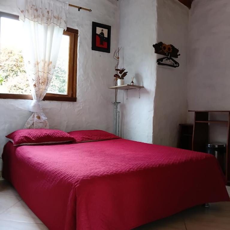 Alma de Acero - Casa de 2 dormitorios - 6