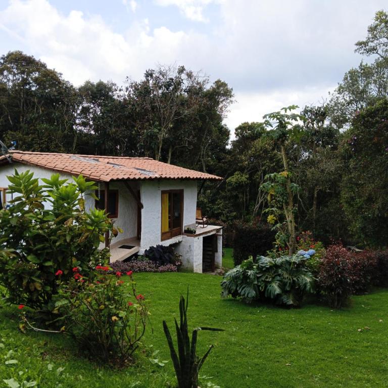 Alma de Acero - Casa de 2 dormitorios - 11