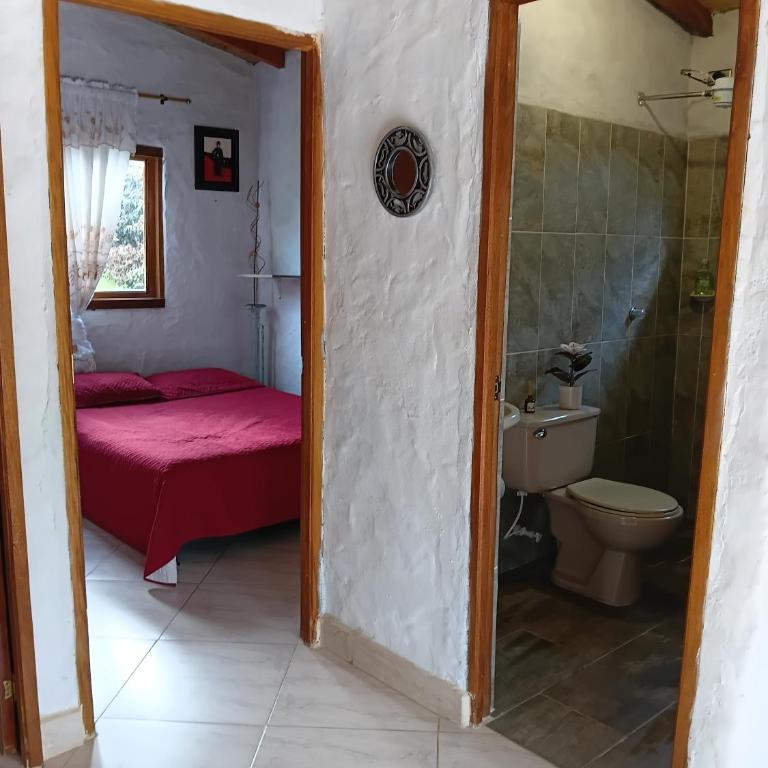 Alma de Acero - Casa de 2 dormitorios - 12