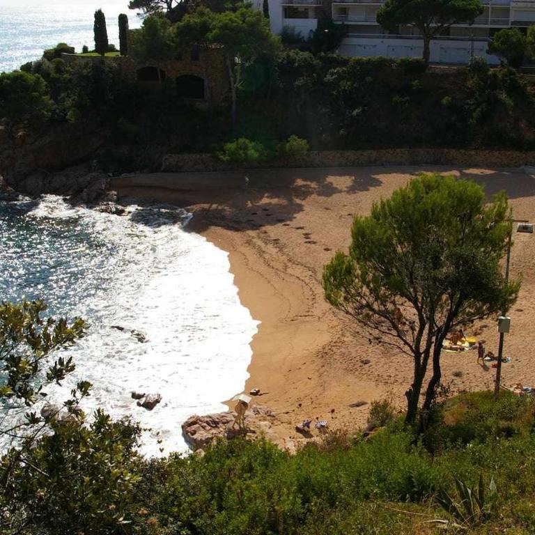 Cala Salionç 12 – 1ª Línea de Mar con A/A - Appartement - Vue sur Mer - 15