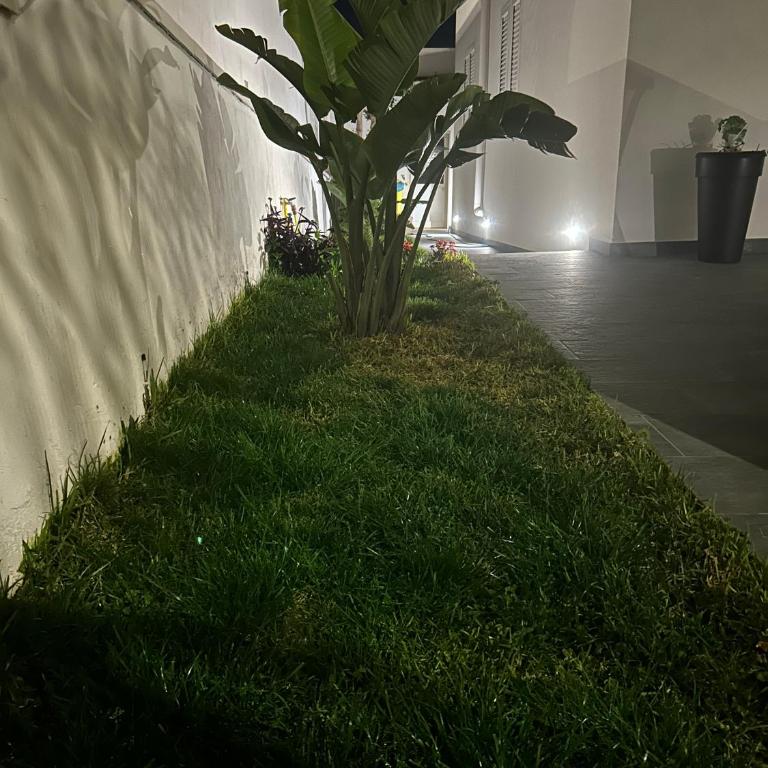 Trapani d'Amare Apartments - Appartamento Deluxe con 1 Camera da Letto e Vista Giardino - 7