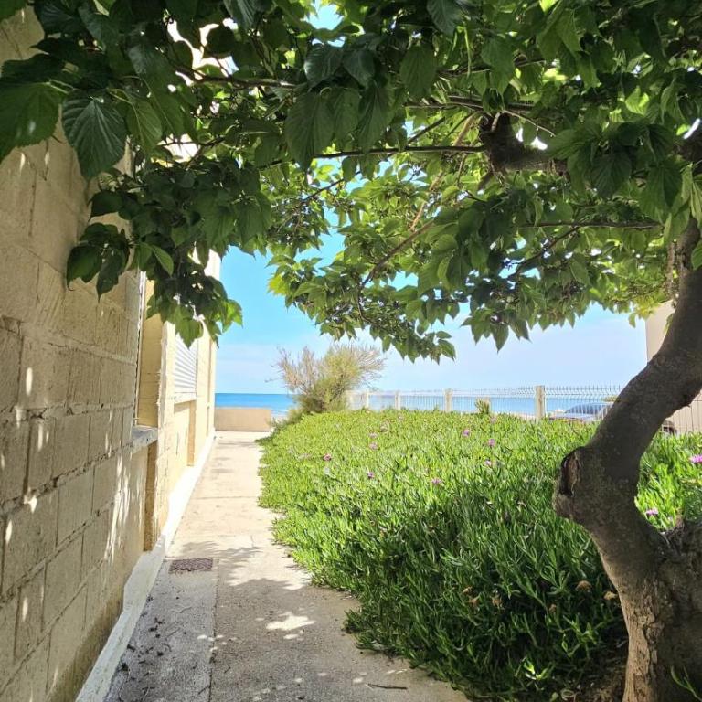 Studio rénové à Palavas avec accès direct à la plage - Appartement 1 Chambre - 18