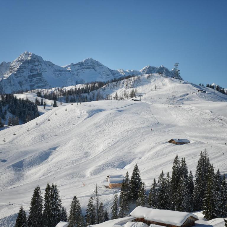 Appartement Weissbacher - Big Two-Bedroom Apartment with Balcony and Mountain View - 23