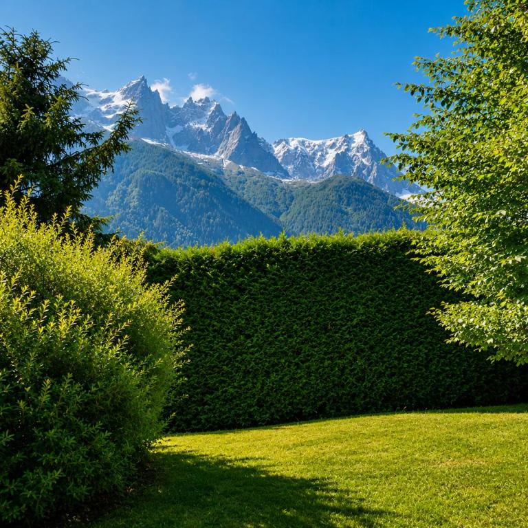 Chalet Spacieux à Chamonix pour 9 – Vue Panoramique Mont-Blanc, Jacuzzi, Jardin & Parking - Chalet - 6