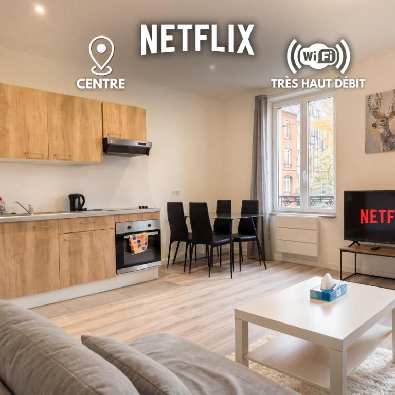 Grand Appartement 2 Chambres Centre Mulhouse - Appartamento con 2 Camere da Letto - 1