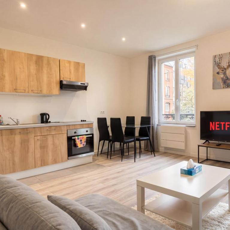 Grand Appartement 2 Chambres Centre Mulhouse - Appartamento con 2 Camere da Letto - 12