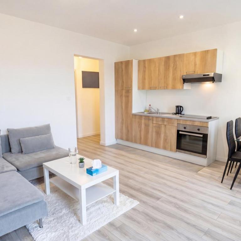 Grand Appartement 2 Chambres Centre Mulhouse - Appartamento con 2 Camere da Letto - 7