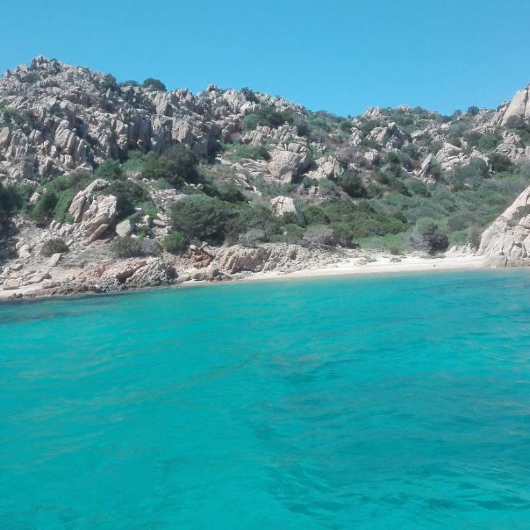 Il riccio di mare - Appartamento con 1 Camera da Letto - 20