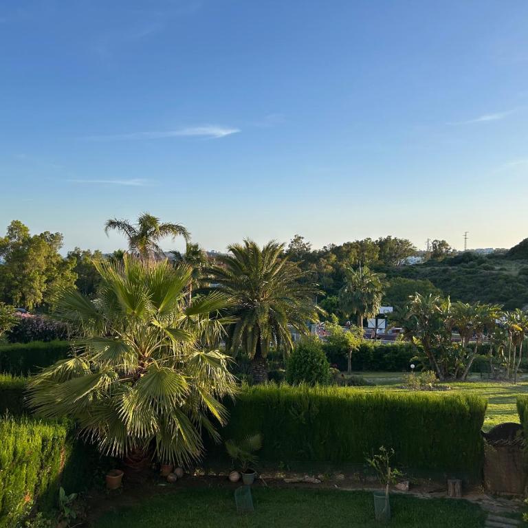 Bahia De Casares - Appartement - 7