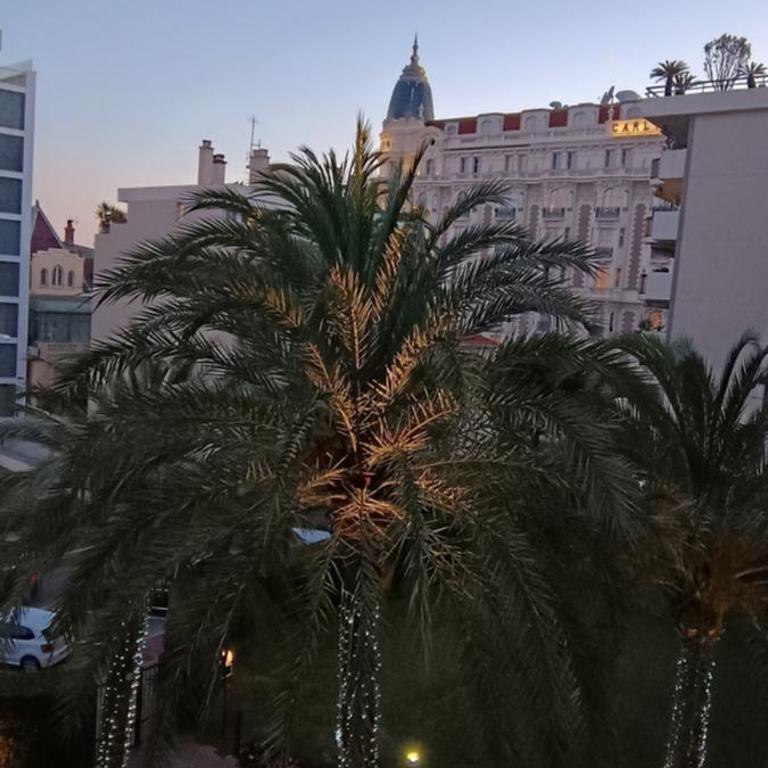 Les Jardins de la Croisette- luxueux 2p terrasse parking - One-Bedroom Apartment - 8