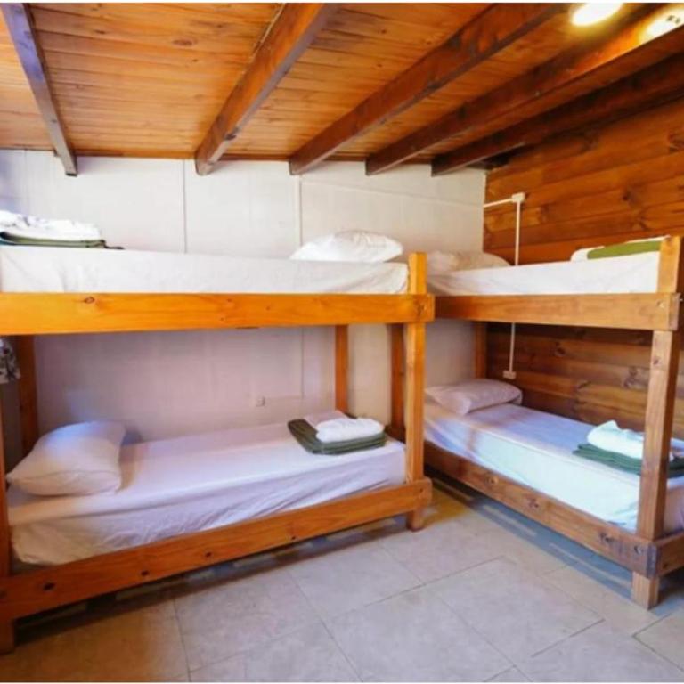 Alaska Patagonia Hostel - Cama en habitación compartida mixta con 4 camas y baño privado - 5
