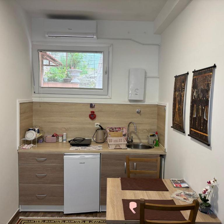MBM Studio Apartments 2 - One-Bedroom Apartment - 11