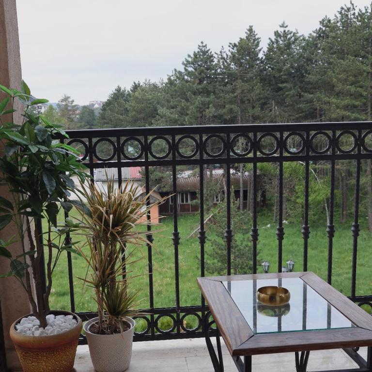 Zlatibor Ina Residence Apartman - One-Bedroom Apartment - 54