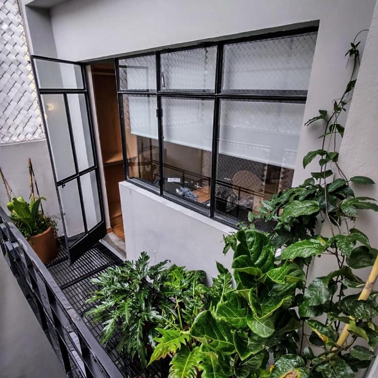 Casa Alfredo - One-Bedroom Suite - 3
