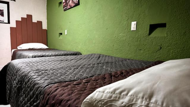 Hostal el Alebrije - Habitación Doble con baño compartido - 1 o 2 camas - 2