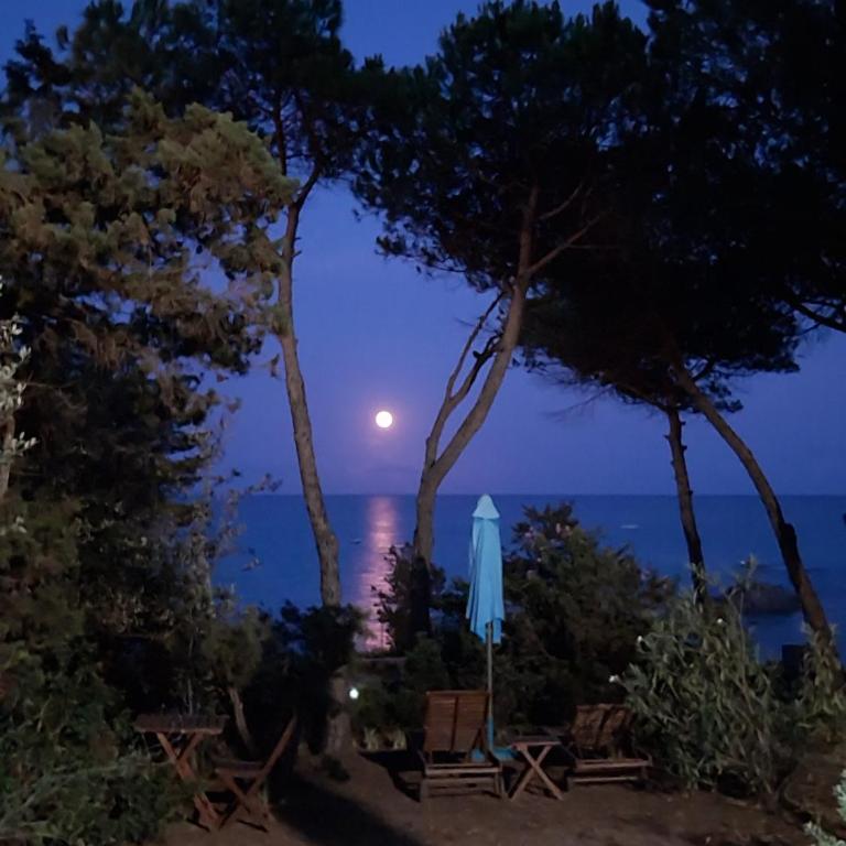 lamarzellina 2 - Appartamento con 1 Camera da Letto - 7