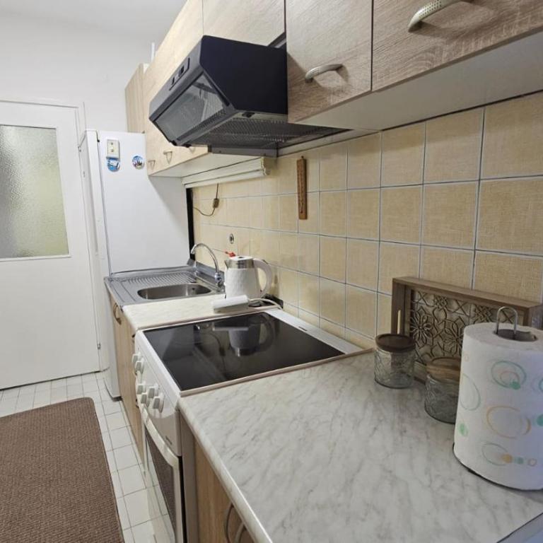 Apartman Centar - Apartman sa 1 Spavaćom Sobom - 8
