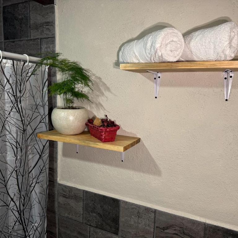 Hostal el Alebrije - Habitación Doble con baño privado - 4