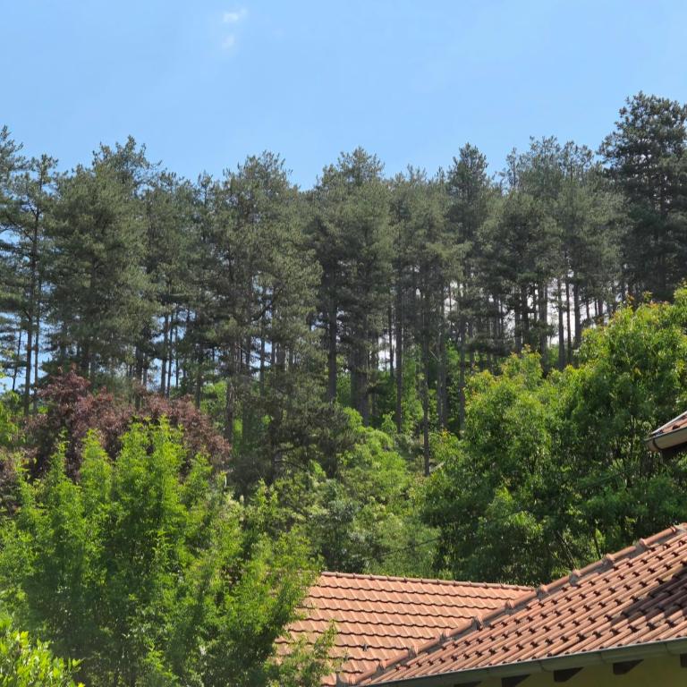 Kucica Yuva - Kuća sa 1 Spavaćom Sobom - 30