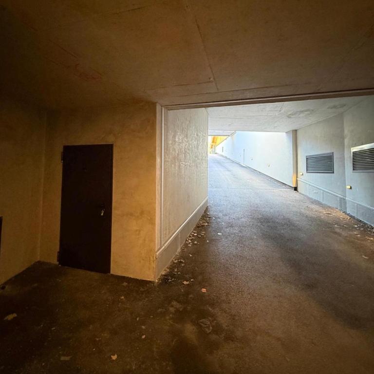 Appartement au Chinaillon 1350 - vue panoramique sur les montagne, -10' des pistes - Apartment mit 3 Schlafzimmern - 49