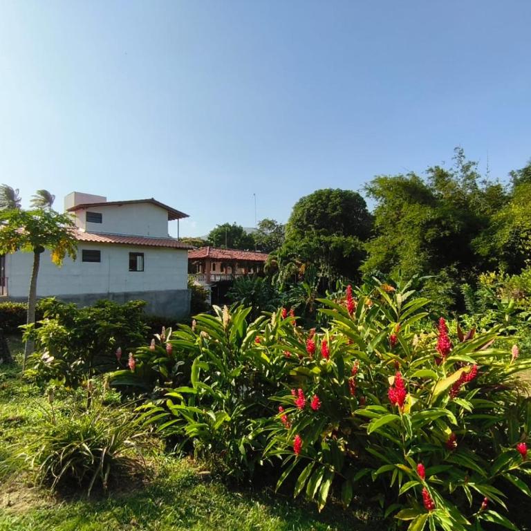 Villa Jardín Con piscina y jacuzzi - Casa de 4 dormitorios - 23