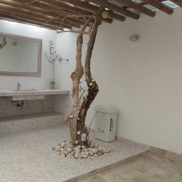 Exclusivo paraíso Caribeño en Islas del Rosario - Vacation Home - 57