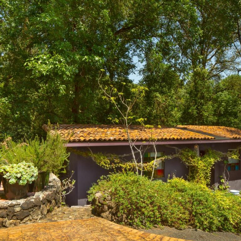 AH0 Art Villa - Chalet - 13