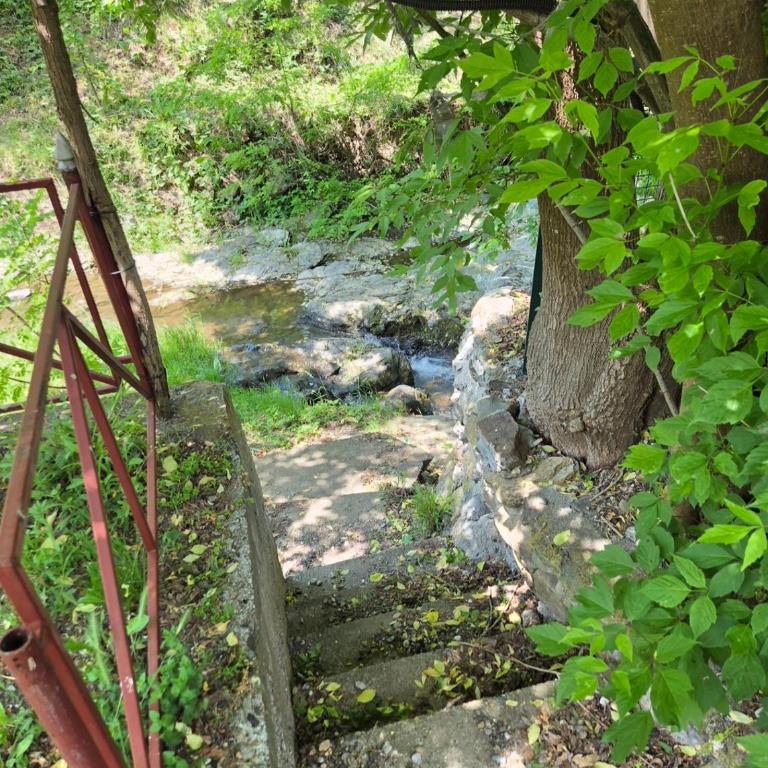 Kucica Yuva - Kuća sa 1 Spavaćom Sobom - 43