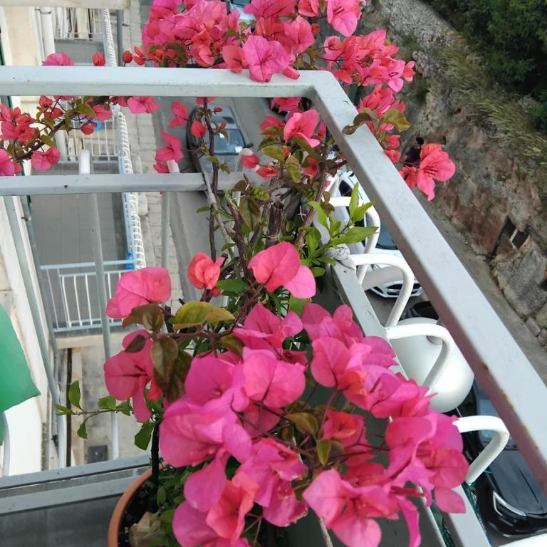 Il rifugio di Francesca - Appartamento Standard con 1 Camera da Letto - 7