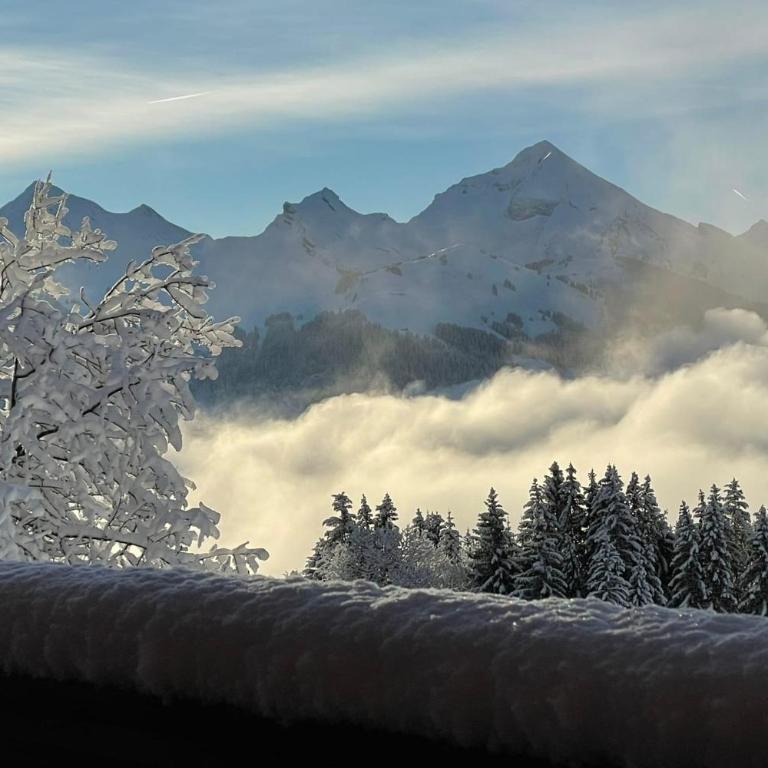 Slow Chalet Tekoa 8 pers - 5 min from the slopes - Chalet - 21