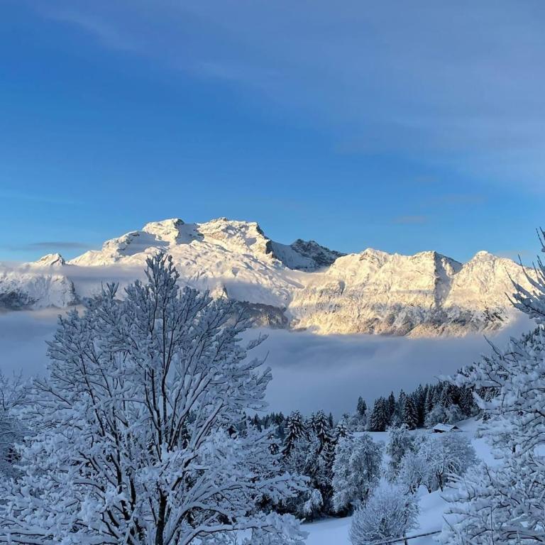 Slow Chalet Tekoa 8 pers - 5 min from the slopes - Chalet - 38