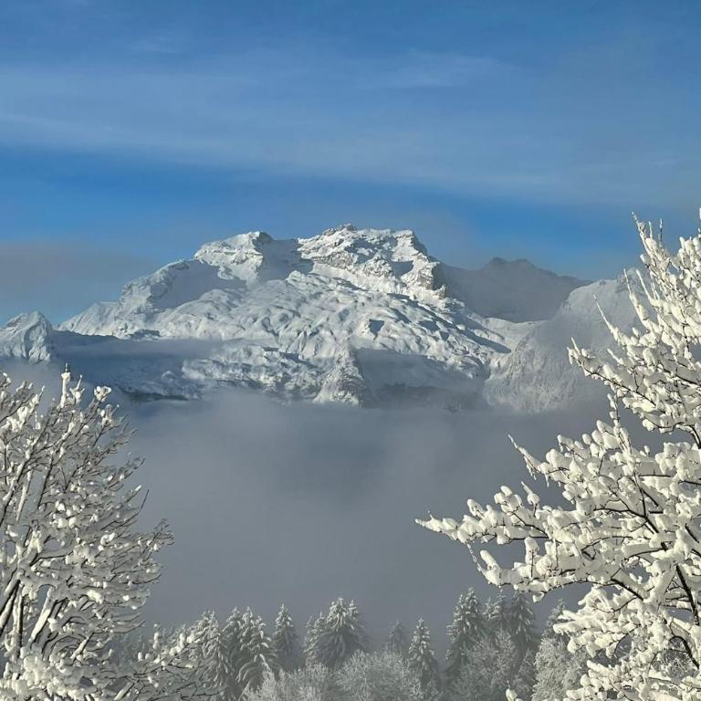 Slow Chalet Tekoa 8 pers - 5 min from the slopes - Chalet - 43