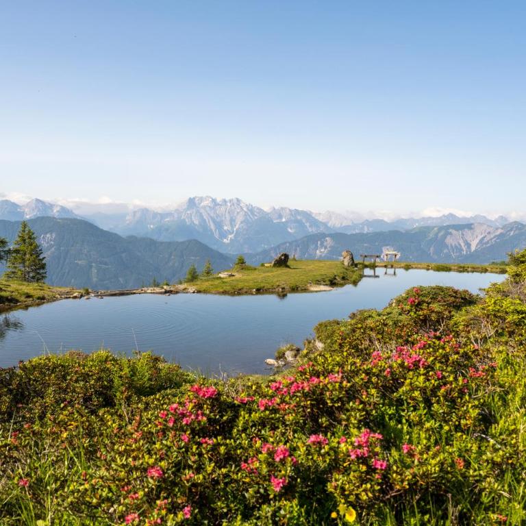 Beim Rauter - Emberger Alm - Ferienhaus mit 3 Schlafzimmern - 93