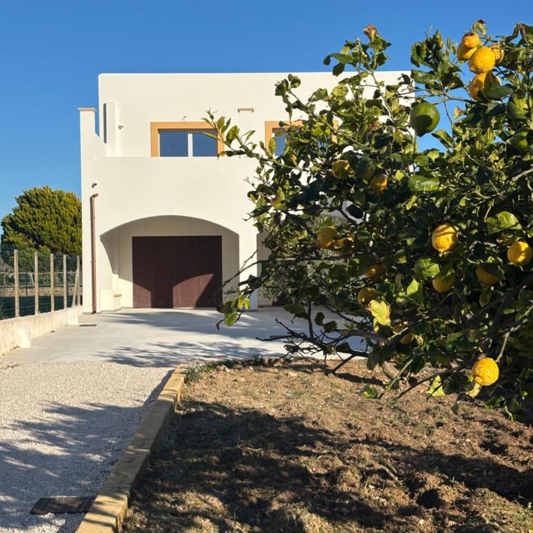 Al Malaseno - Stagnone Apartments - Appartamento con 1 Camera da Letto - 1