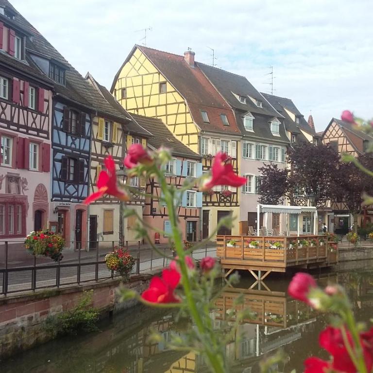 Commanderie Cottage Colmar - Appartement - Vue sur Jardin - 43
