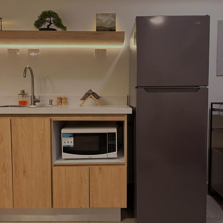 Japanese Zen 1 BDR apartment in Downtown Monterrey - Two-Bedroom Apartment - 25