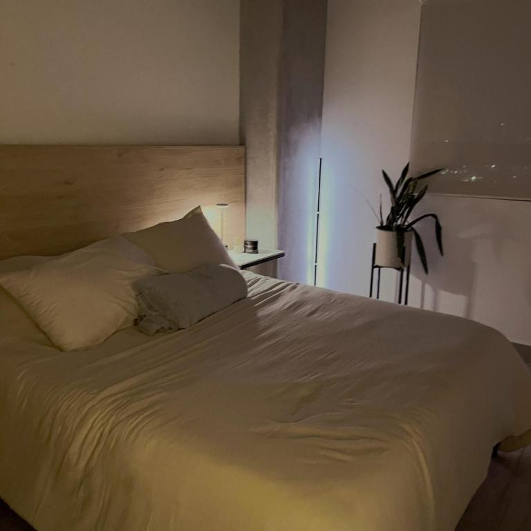 Japanese Zen 1 BDR apartment in Downtown Monterrey - Two-Bedroom Apartment - 48