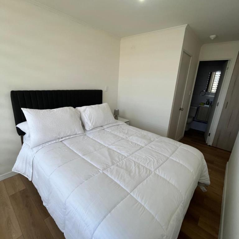 Apartamento Antofagasta - Apartamento de 2 dormitorios - 1
