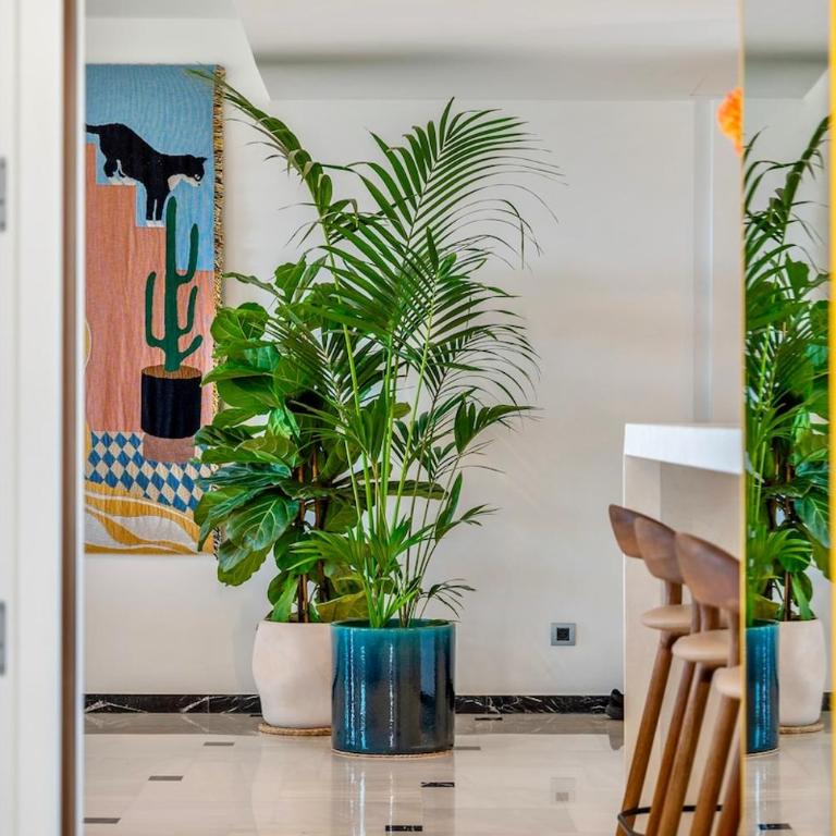 AnaMare Altea Seafront Duplex - Apartamento - 8