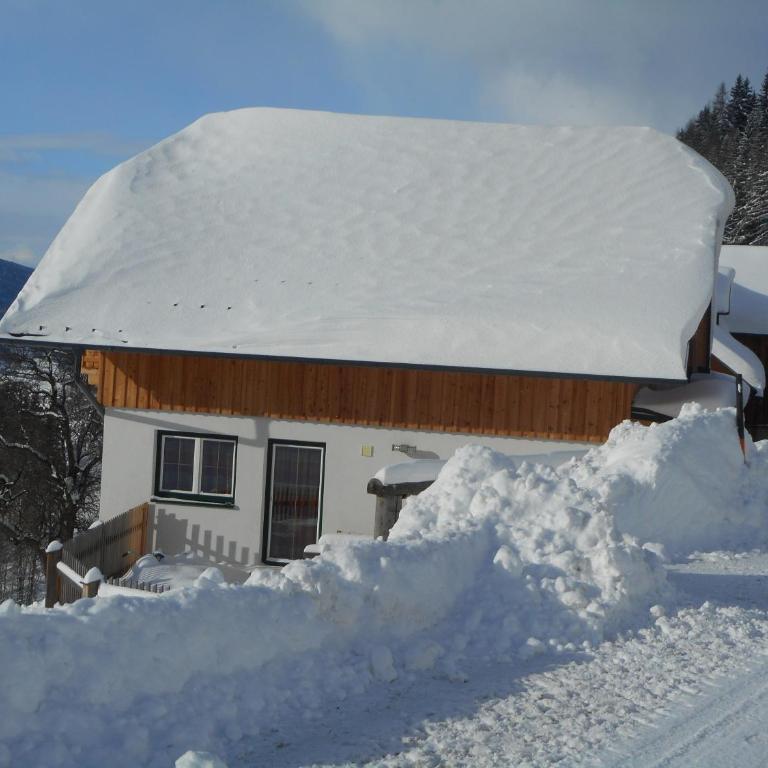 Bio-Bergbauernhof Möslhof - Ferienhaus - 41