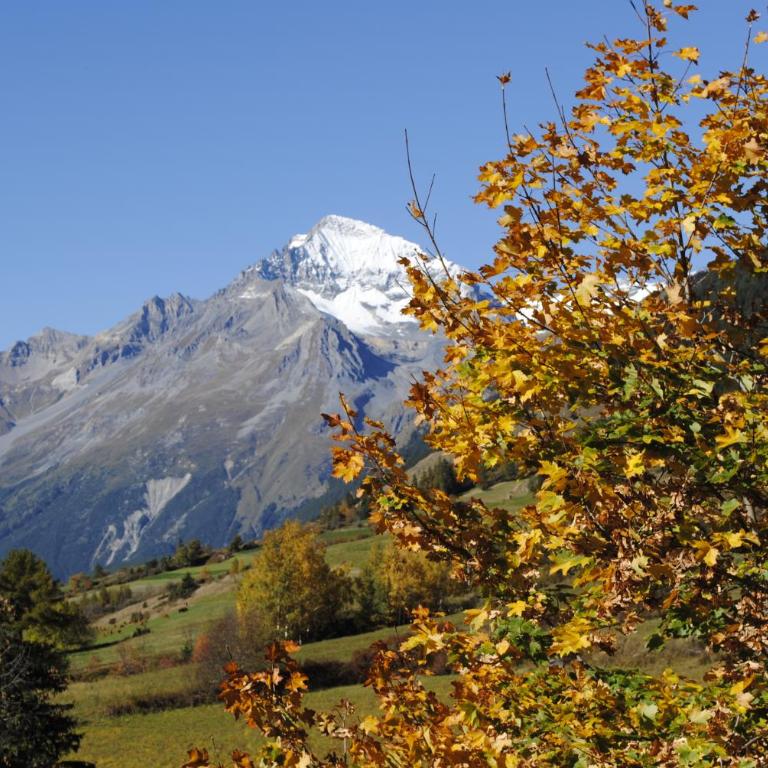 La Joubarde - Apartment mit Blick auf die Berge - 11