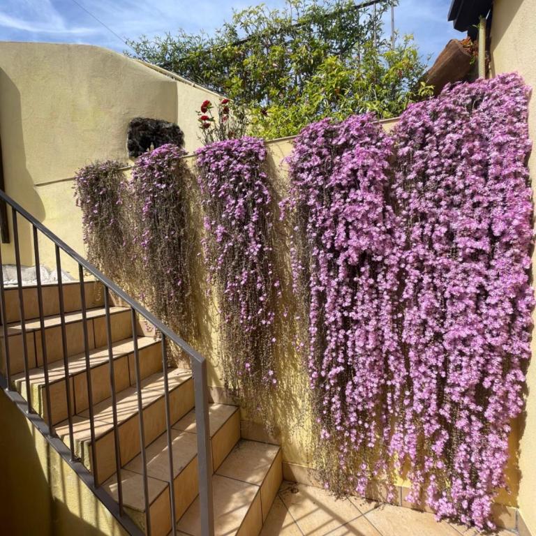 CAMILLA affitta camere - Vacation Home - 9