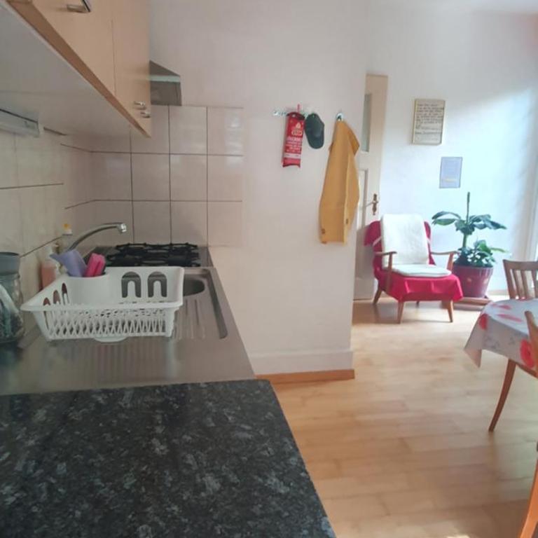 Zentral gelegene Wohnung mit grossem Garten - Apartment mit 2 Schlafzimmern - 9