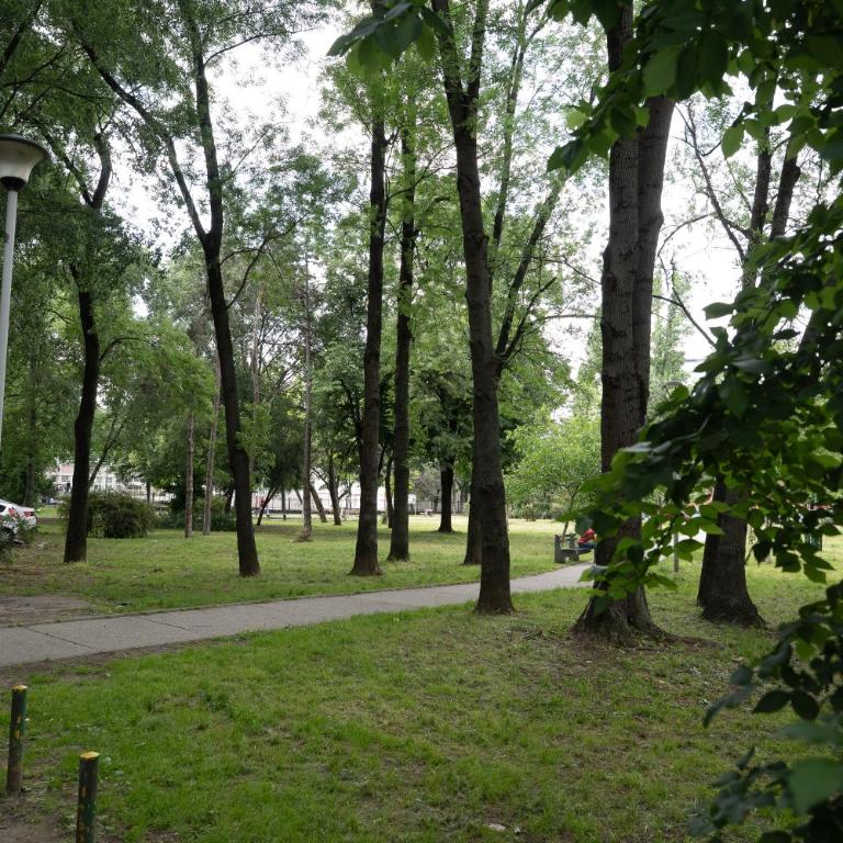 Apartment Ljiljana across from the Fountain - New Belgrade - Apartment - 15