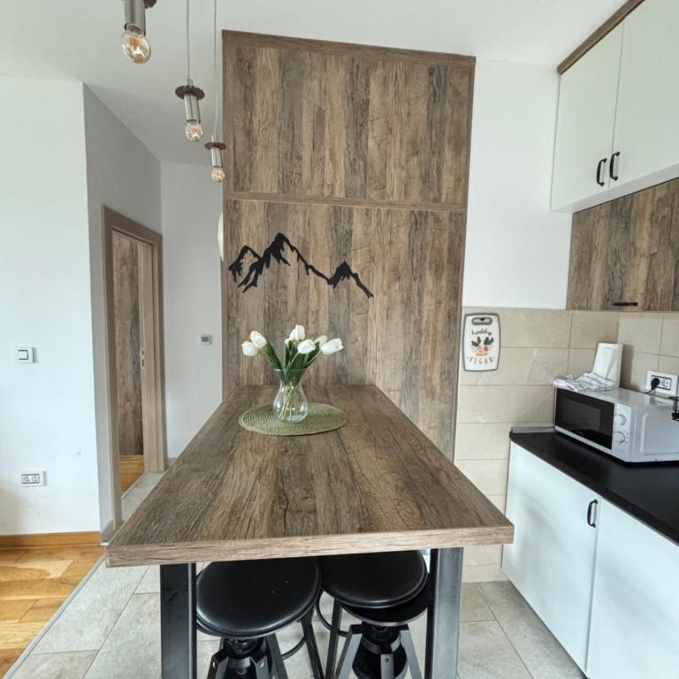 Apartman Tajmles Wellnes & Spa - Apartman sa 1 Spavaćom Sobom - 7